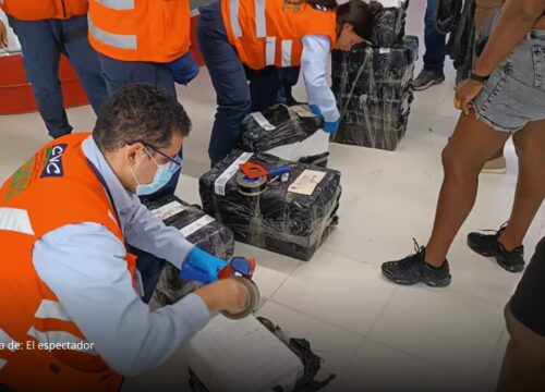 Autoridades decomisan carne de armadillo en aeropuerto de Cali Autoridades decomisan carne de armadillo en aeropuerto de Cali