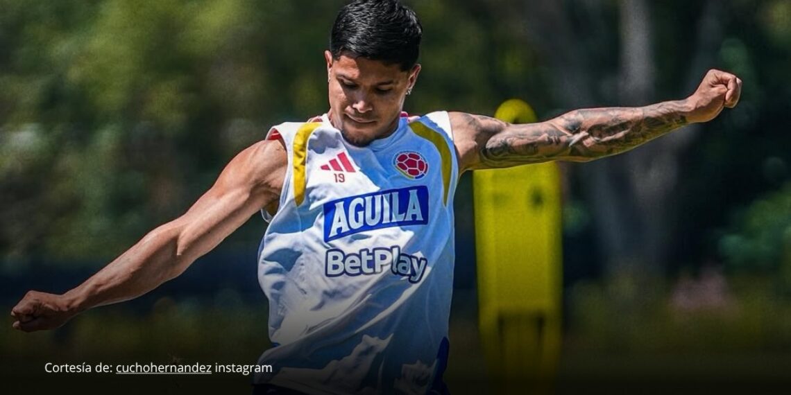 Preocupación en la Selección Colombia: ‘Cucho’ Hernández sufrió un golpe durante entrenamiento en México Preocupación en la Selección Colombia: ‘Cucho’ Hernández sufrió un golpe durante entrenamiento en México