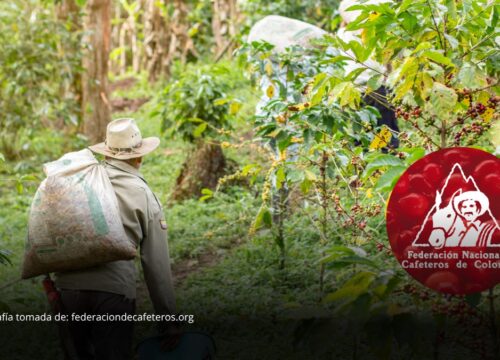 Prorrogan administración del Fondo Nacional del Café y su futuro quedará en manos del próximo Gobierno Prorrogan administración del Fondo Nacional del Café y su futuro quedará en manos del próximo Gobierno