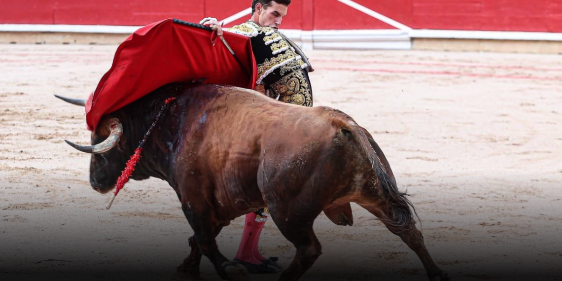 Corridas de toros en Colombia tendrán nuevas restricciones antes de su prohibición definitiva Corridas de toros en Colombia tendrán nuevas restricciones antes de su prohibición definitiva