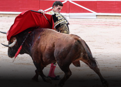 Corridas de toros en Colombia tendrán nuevas restricciones antes de su prohibición definitiva