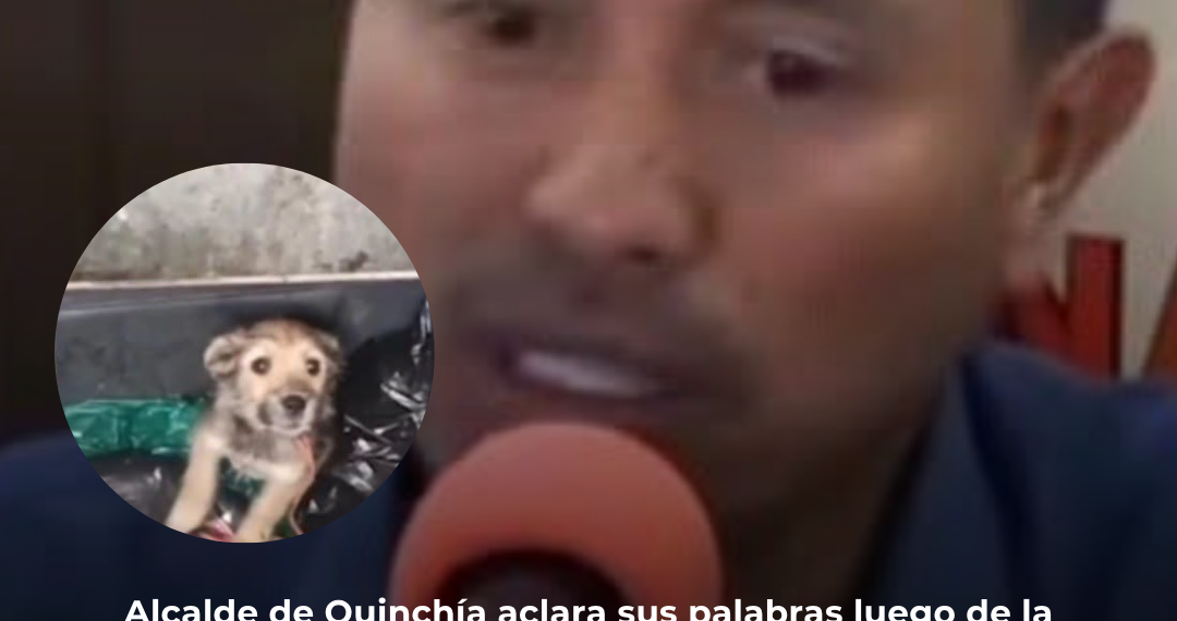Alcalde de Quinchía aclara sus palabras luego de la polémica por los perros callejeros Alcalde de Quinchía aclara sus palabras luego de la polémica por los perros callejeros