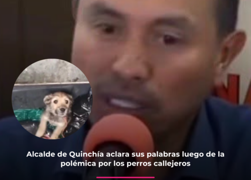 Alcalde de Quinchía aclara sus palabras luego de la polémica por los perros callejeros Alcalde de Quinchía aclara sus palabras luego de la polémica por los perros callejeros