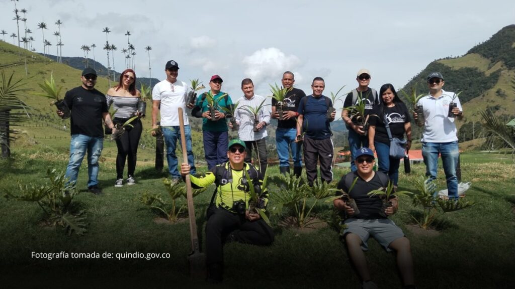 Quindío conmemora sus 60 años con la siembra de 60 palmas de cera en el Valle de Cocora