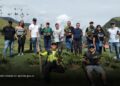Quindío conmemora sus 60 años con la siembra de 60 palmas de cera en el Valle de Cocora