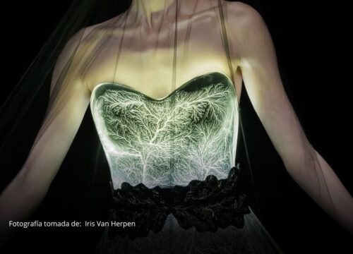 Iris Van Herpen revolucionó la alta costura con un vestido elaborado con plasma Iris Van Herpen revolucionó la alta costura con un vestido elaborado con plasma