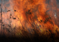 Gobierno declara calamidad pública en Tolima por incendios forestales
