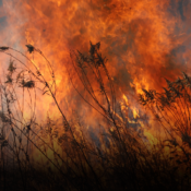 Gobierno declara calamidad pública en Tolima por incendios forestales