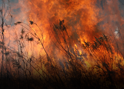 Gobierno declara calamidad pública en Tolima por incendios forestales