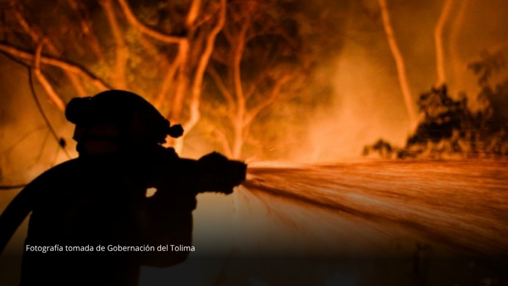 Incendios forestales podrían intensificarse en Colombia, advierten expertos