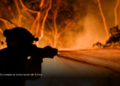 Incendios forestales podrían intensificarse en Colombia, advierten expertos