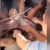 bebé rescatado en Cali