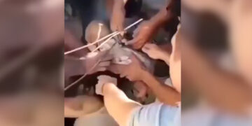 bb bebé rescatado en Cali