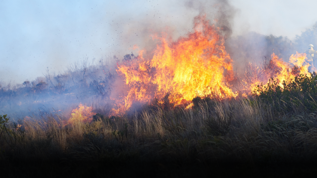 Incendios forestales dejan una amenaza que podría crecer con las lluvias