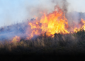 Incendios forestales dejan una amenaza que podría crecer con las lluvias Incendios forestales dejan una amenaza que podría crecer con las lluvias