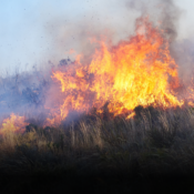 Incendios forestales dejan una amenaza que podría crecer con las lluvias