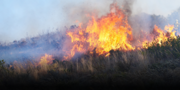 Incendios forestales dejan una amenaza que podría crecer con las lluvias Incendios forestales dejan una amenaza que podría crecer con las lluvias