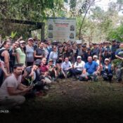 Quindío fortalece la siembra y conservación de la Palma de Cera