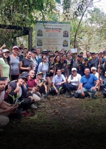 Quindío fortalece la siembra y conservación de la Palma de Cera Quindío fortalece la siembra y conservación de la Palma de Cera