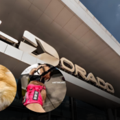 Indignación por pareja que dejó a sus dos perros en El aeropuerto el Dorado y continuó hacia Cali