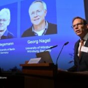Nobel de Medicina 2026 destaca avances sobre el funcionamiento del cerebro