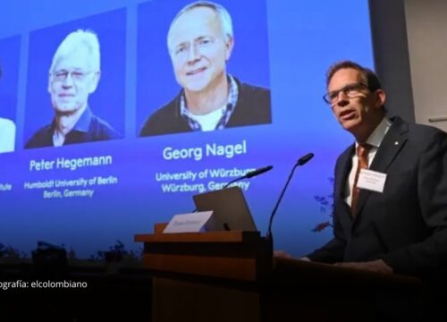 Nobel de Medicina 2026 destaca avances sobre el funcionamiento del cerebro Nobel de Medicina 2026 destaca avances sobre el funcionamiento del cerebro
